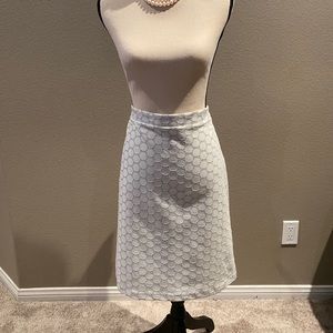 Women’s Pencil Skirt